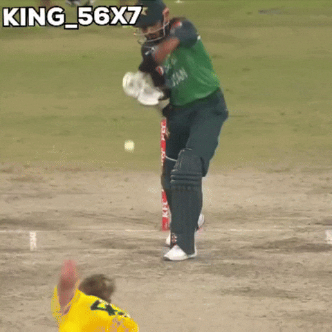 Virat Kohli Babar GIF