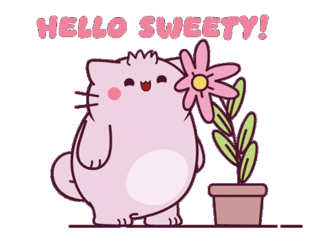 Cat Hello Sticker by Pembe
