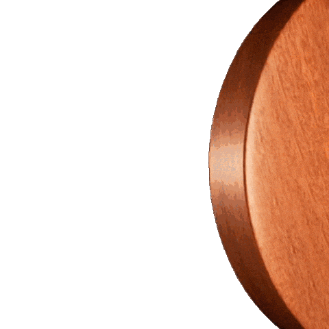 Nelore Sticker by confiboioficial