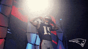 2018 Nfl Football GIF by New England Patriots