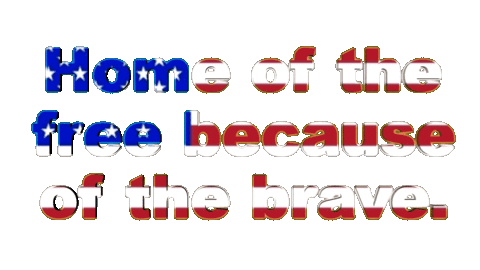 Happy Independence Day Sticker by OpticalArtInc.