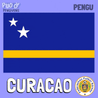 World Cup Football GIF by Pudgy Penguins