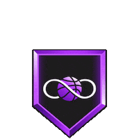 Badges Sticker by NBA 2K