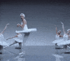 Shake It Off Taylor Swift GIF