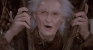 the princess bride GIF
