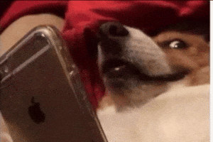 Byomid GIF