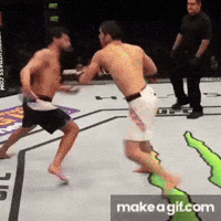 Islam Makhachev GIF