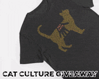 GIF by Your Cat Backpack Travel Cat