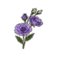Flower Beutiful Sticker