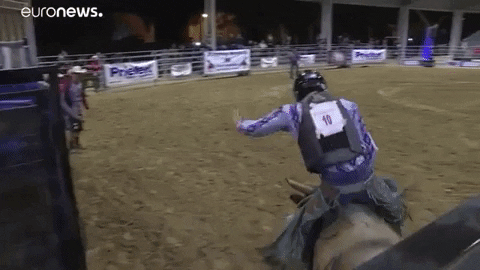 rodeo GIF by euronews