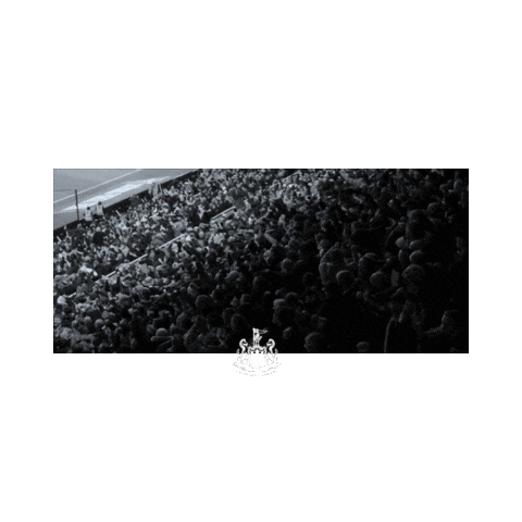 Newcastle United Sticker by Newcastle United Football Club