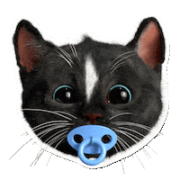 Cat Baby Sticker by Felini Rocks