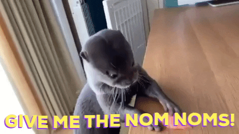 andcallmeshirley giphygifmaker food yummy hungry GIF