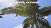 Garcia Blumenau GIF by Greenplace TV