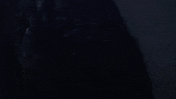 sasquatch GIF by Ice Cube