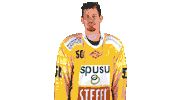 Hockey Fischer Sticker by Vienna Capitals