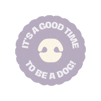 Mywunderdogae dubai uae wunderdog dogsindubai Sticker