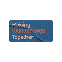 wunderdogae wonderdog wonder dog wunderdog wunder dog Sticker
