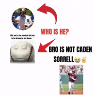 Texas Am Baseball GIF