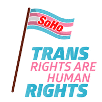 soho_oesterreich pride queer trans human rights Sticker