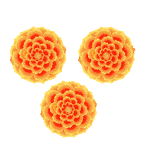 Coco Tradicion Sticker by Octavio Mendoza