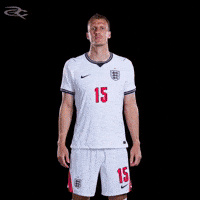 Fifa World Cup England GIF by Respective