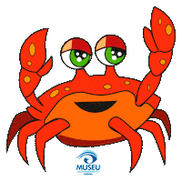 Polvo Mar Sticker by Universidade do Vale do Itajaí - Univali