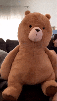 Teddy Tim GIF
