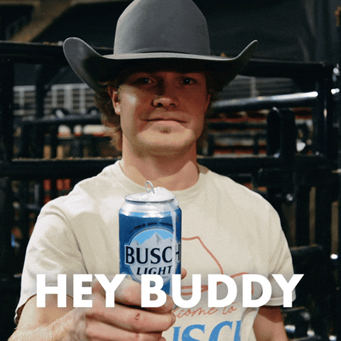 Busch Light Hey Buddy GIF by Busch Beer