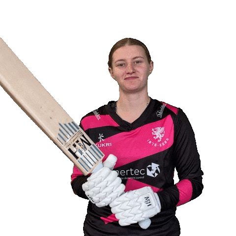 England Bat Sticker by Somerset County Cricket Club