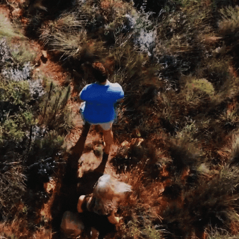 Niantic giphyupload walking hiking outdoors GIF