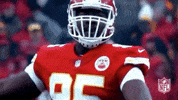 2018 Nfl Football GIF by NFL