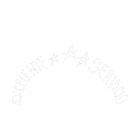 Excelenteservicio Sticker