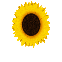 Flower Mandala Sticker