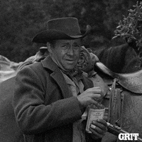 Drunk Horse GIF by GritTV