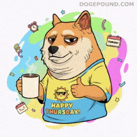Good Morning Thumbs Up GIF by Doge Pound