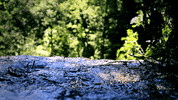 tranquility GIF