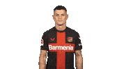 Come On Hello Sticker by Bundesliga