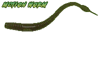 Agr Baits Motion Worm Sticker by AGR Baits