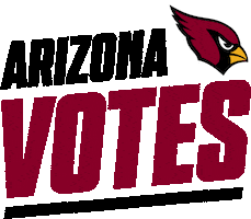 Voting Arizona Cardinals Sticker by NFL