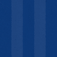 Football Mal GIF by Odense Boldklub