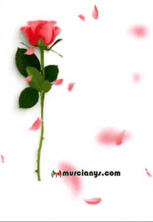 Bendiciones Crean GIF by Murcianys LLC