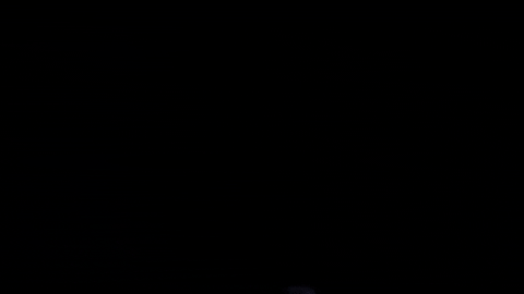 wild ones GIF by Topshelf Records