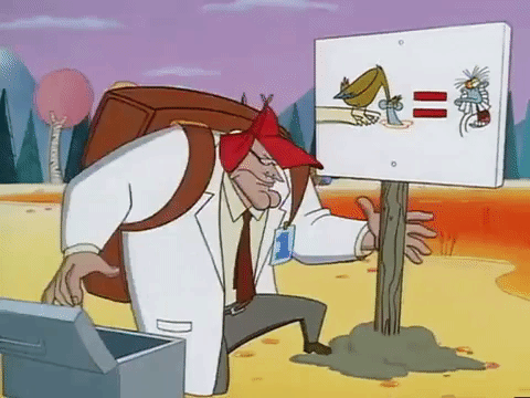 nickrewind giphydvr nicksplat angry beavers giphyab031 GIF