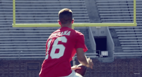 GIF by Mitchell & Ness