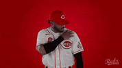 Phillip Ervin Baseball GIF by Cincinnati Reds