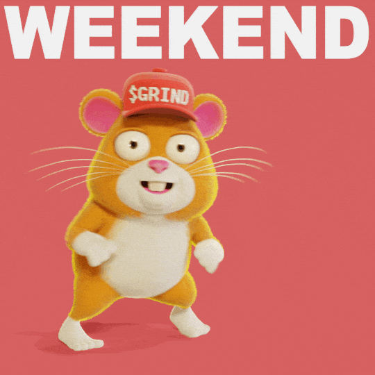 Weekend Hamster GIF by Grind