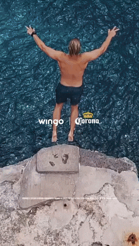 GIF by Wingo