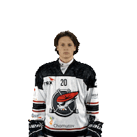 Hokej Tomas Sticker by Piráti Chomutov