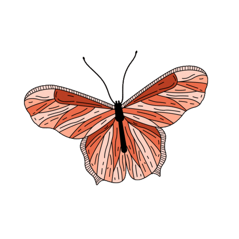 maggielopez44 giphyupload pink fly butterfly Sticker